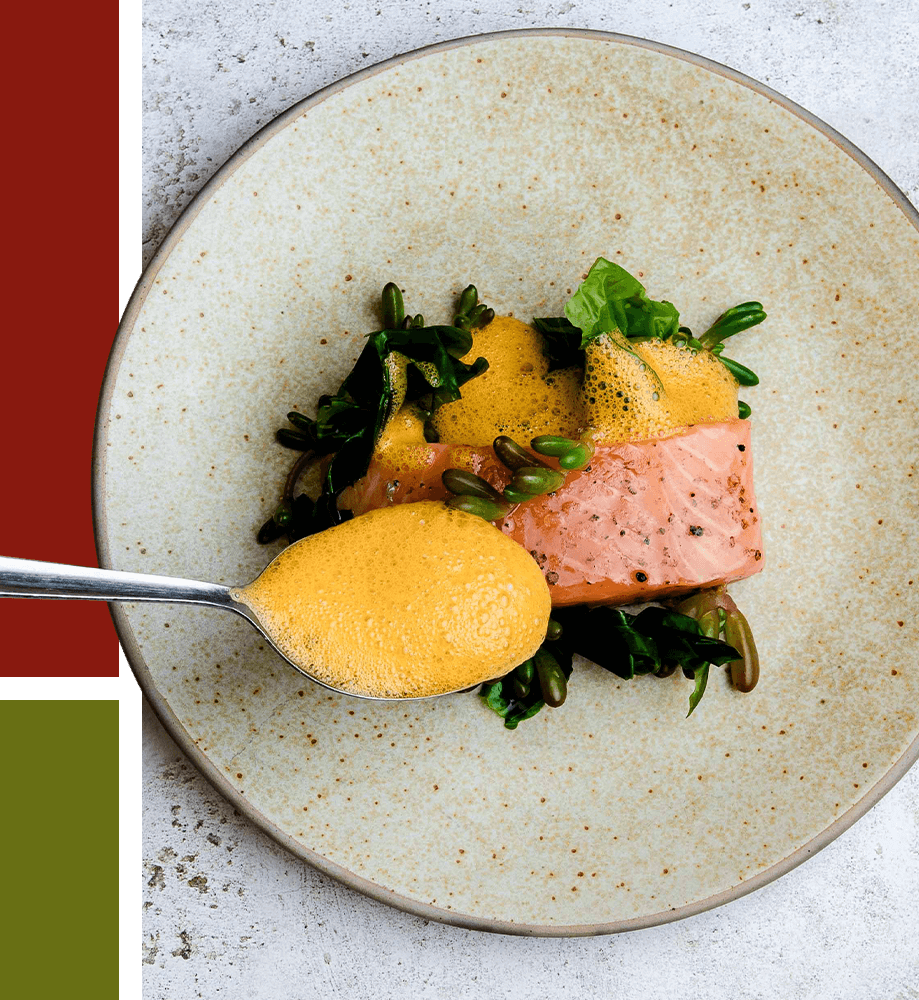 image of a beautiful plate of salmon